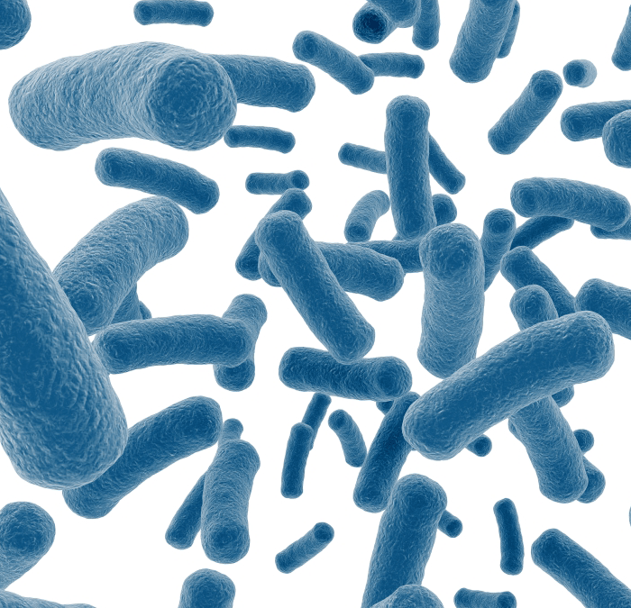 Probiotics and the Microbiome – What are they? Do I need them? Which ones do I buy?
